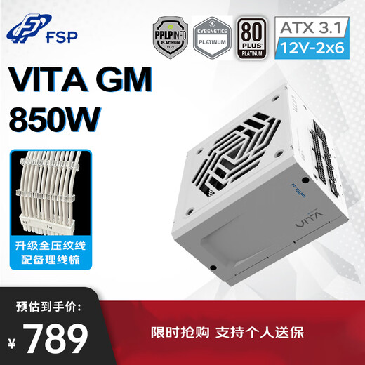 FSP VITA GM 850W Snow Edition Platinum Full Modular Power Supply (ATX3.1/PCle 5.1 12V-2x6 interface/105 Japanese capacitor/fully embossed cable)