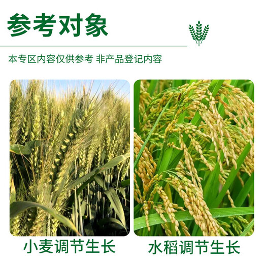 0.01% 24 epibrassinolide lactone strong seedling plant preservation flower fruit pesticide plant regulator 0.01% brassinolide 1 liter * 1 bottle