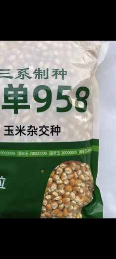 Hefeng three-line seed production Zhengdan 958 corn seed, high-yielding and disease-resistant farmhouse spring and autumn field hybrid corn (4200 grains) Hefeng Zhengdan 958