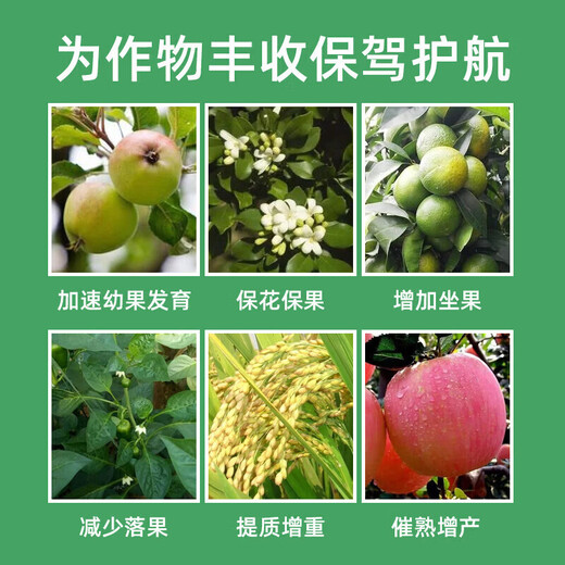 Guoguang Pesticide Naphthalene Acetate Plant Growth Regulator Flower Preservation and Fruit Preservation Medicine Prevent Fruit Falling Apple Tree Hua Guo Bao 100ml*10 Bottles