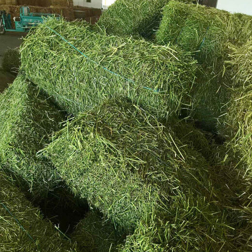 Alfalfa hay, fodder for cattle, sheep and horses, alfalfa fodder for alpacas, large zoo feed, alfalfa 50kg