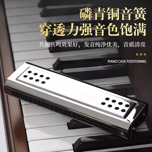 Guoguang Harmonica 24-Loch Polyphonische C-Tune G-Tune doppelseitige Doppel-Tune-Anfänger-Selbststudie Einführung für erwachsene professionelle Leistung 24-Loch-Polyphonische Silber doppelseitig [C-Tune + G-Tune]