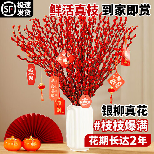 Hua Weng Real Flowers Fresh Branches and Dried Flowers Indoor Living Room New Year's Eve Flowers Selected Silver Willow 60-70cm 40 Branches + Pendant Source Straight Hair