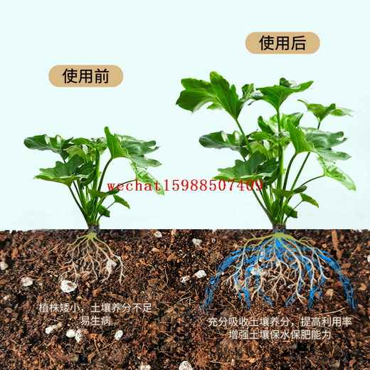 Soil Activator Bao Mine Source Potassium Fulvic Acid Humic Acid Rooting Liquid Acid-Alkali Adjustment Soil Compaction Improvement Fertilizer
