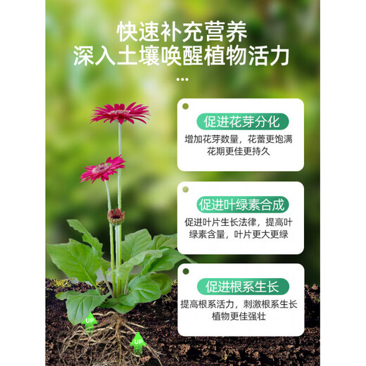 Qiaobo Lai Urea Fertilizer Vegetable Fertilizer Covered with Helium Fertilizer Nitrogen Fertilizer for Planting Flowers and Fruit Trees Golden Pueraria Potted Plants Universal Flowers Urea 2.5kg*1 Bucket + Rooting Powder 5 Bags