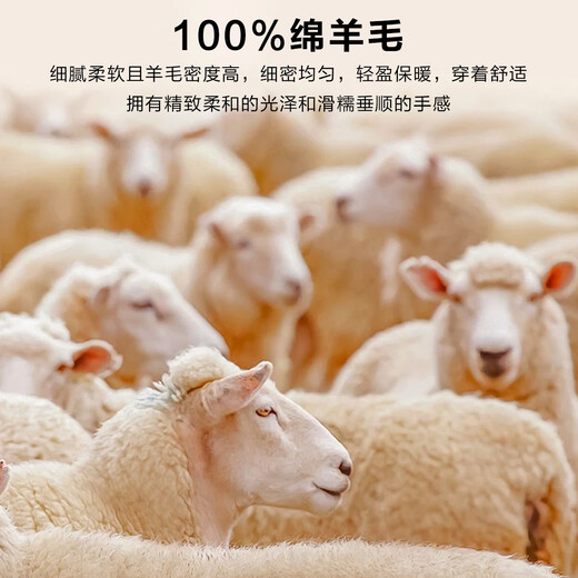 Bosssunwen 100% wool spring recommended fake two-piece skin-friendly warm knitted sweater wavy jacquard men's cardigan gray 2XL