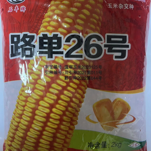 Ludan No. 26 Short Stem - High-yielding corn seeds, field corn hybrid seeds that are resistant to lodging, disease, and rot. Ludan No. 26 short stem - High-yielding corn seeds, field corn seeds that are resistant to lodging, disease, and rot.