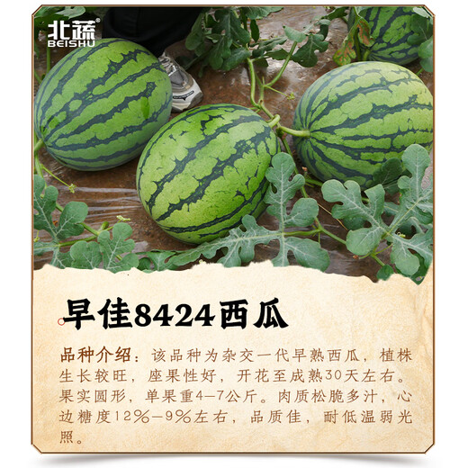 New varieties of Beishu Kirin watermelon seeds, Lazy Man, Southern Meidu watermelon seeds, Zaojia 8424 watermelon seeds, 30 capsules/bag