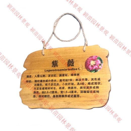 Arbor Day tree sign, flowers and trees introduction sign, plant name tag, kindergarten adoption anti-corrosion signage customization 24*18CM Paulownia tree sign one (amber)