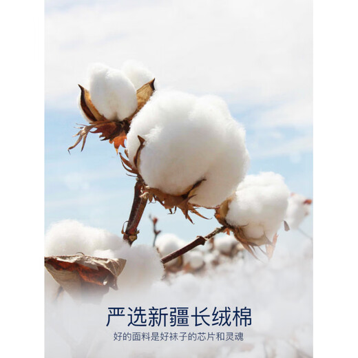 AUN Men's Invisible Socks Silver Ion Socks Breathable Low-Waist Cotton Socks Casual Men's Socks Shallow Mouth Boat Socks Mixed Colors - Pack of 6 Pairs One Size (39-44)