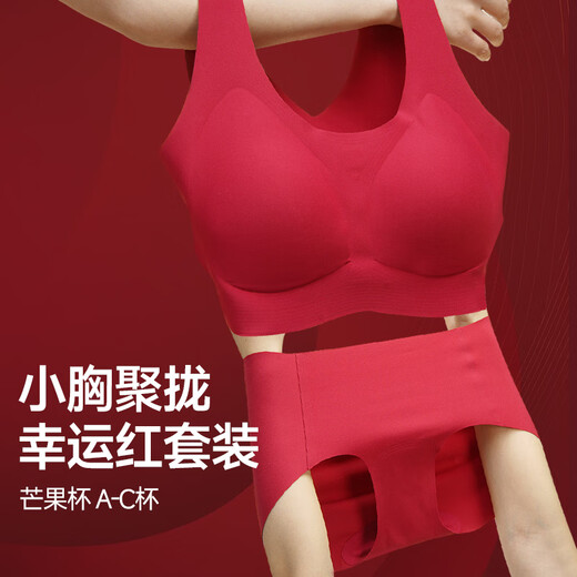 京舒棉无痕文胸内裤新年马年红色情人节红品礼盒套装 酒红色 均码