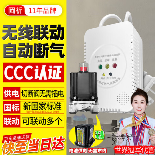 Gangqi JT-TP010W catering wireless linkage gas alarm automatic shut-off valve natural gas alarm home commercial battery type straight-way valve leakage methane detection