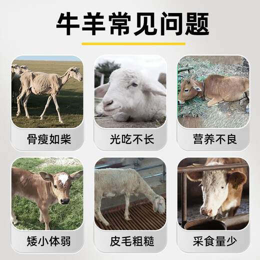 Fat King Cattle and Sheep Veterinary Skeletons for Fattening, Appetizing, Digestion and Pre-Slaughter Authentic Feed Additives 5 Bags for Cattle and Sheep