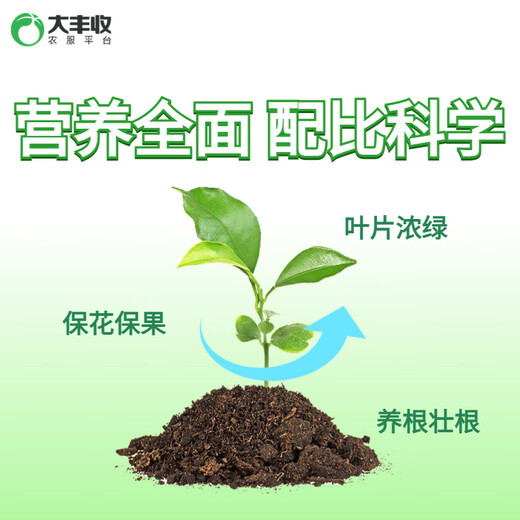 丰满龙复合肥15-15-15高浓度硫酸钾氮磷钾平衡肥果树蔬菜花卉通用 平衡复合肥4.5kg