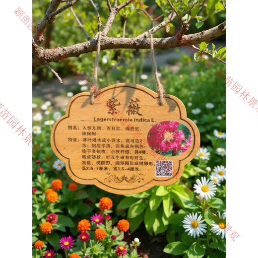Arbor Day tree sign, flowers and trees introduction sign, plant name tag, kindergarten adoption anti-corrosion signage customization 24*18CM Paulownia tree sign one (amber)