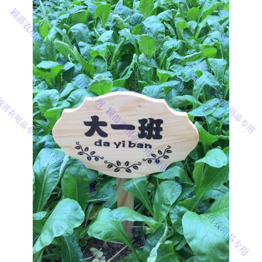 定制木牌子公园菜园菜地木质草地种植区指示牌立式插地牌爱护花草 30*50CM