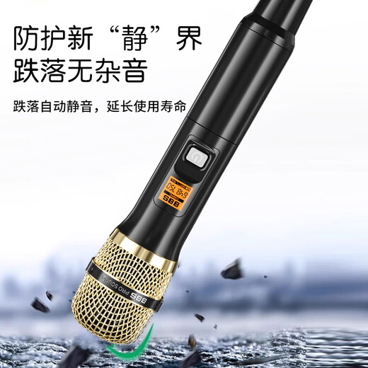 BBSMS5 Wireless Microphone Home KTV Singing Stage Hosting Speech K Song Conference Speaker Audio One for Two Microphones MS5 Golden Black BBS L65 Playing and Singing Audio Gilded White Package