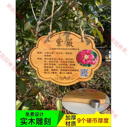 Arbor Day tree sign, flowers and trees introduction sign, plant name tag, kindergarten adoption anti-corrosion signage customization 24*18CM Paulownia tree sign one (amber)