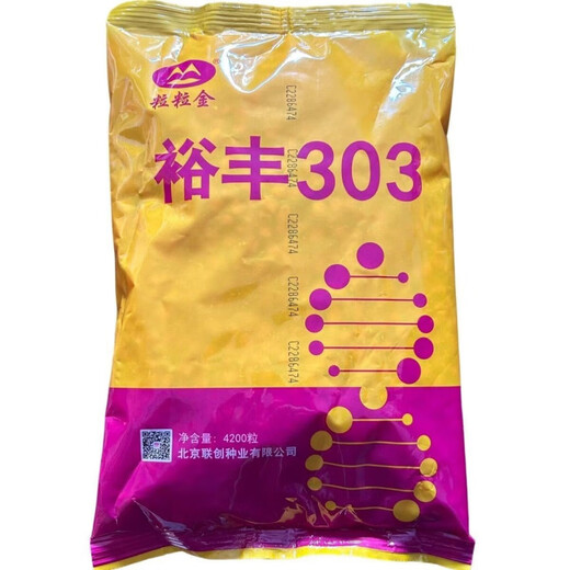 Luodong Yufeng 303 corn seeds are disease-resistant, lodging-resistant, high-yielding, stable and high-temperature resistant corn seeds, original factory packaging 4200 grains 4200 grains original factory packaging