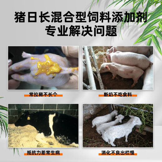 Pig day long pig fattening and fattening pig feed additive piglet piglet fattening agent pig premix, buy 20 bags and get 5 bags, real hair 25 bags