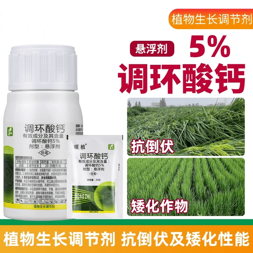 5% Prohexadione Calcium Suspension Controls Growth and Slow Fruit Control, Rice Regulator Pesticide 100g*2 Bottles