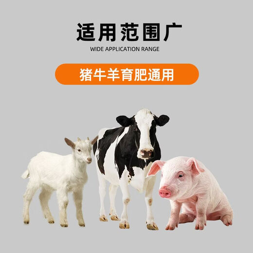 OIMG Pig Day Long Feed Additive for Piglets Growth Promoting Concentrated Premix Weight Gaining Fattening Agent Appetizer 12 Bags 10 Get 2 Free Single Bag Only 24.1 Yuan