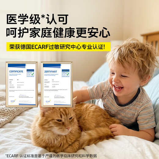 KARCHER original imported multifunctional household fabric sofa cleaning machine, spray and suction integrated cleaning machine for carpets, curtains and mattresses SE 3 COMPACT standard version + WV1