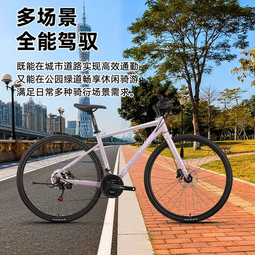 TRINX Aurora flat handlebar road bike 26 oil disc road bikes adult male and female college student commuter bikes Aurora A2 - Black Gray - 8-speed rim brake 700C*500mm, suitable for about 175-185cm