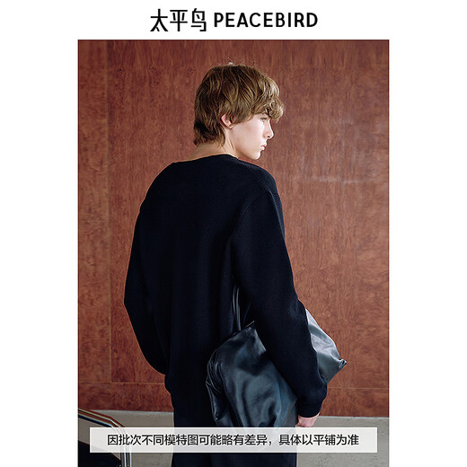 PEACEBIRD Men's Black Round Neck Sweater Winter Soft Knit Sweater B1EBE4242 Black 1 M