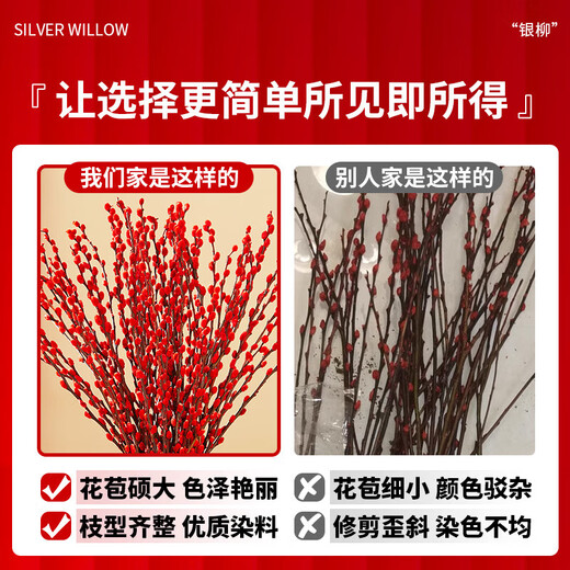 Hua Weng Real Flowers Fresh Branches and Dried Flowers Indoor Living Room New Year's Eve Flowers Selected Silver Willow 60-70cm 40 Branches + Pendant Source Straight Hair