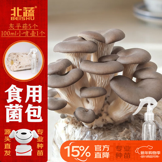 Northern Vegetable Mushroom Planting Bags, Gray Pleurotus Home Grown Edible Mushroom Bags, Small Gray Pleurotus Mushroom Packs, 5 Straight from the Source