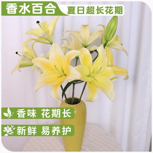 AB grade high-quality perfume lily flowers, hydroponic flower arrangement, home life water-raised fresh-cut roses from Yunnan, straight hair, high quality, AB grade random color large buds, 10 lilies + preservative