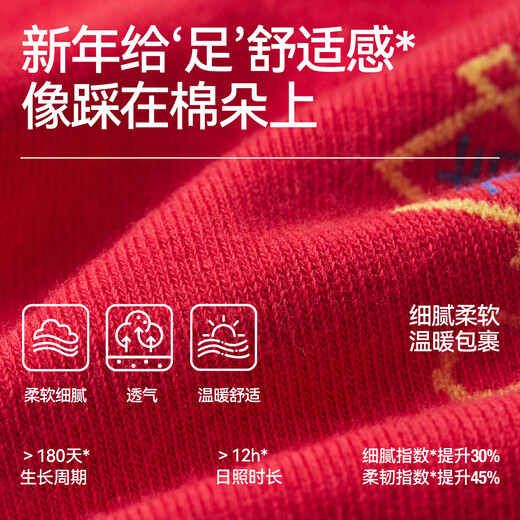 小猪托尼胖男童袜子红色本命年儿童中筒袜新年装中大儿童四季通用 色织图案袜红一双装 均码 L码，建议40-44鞋码