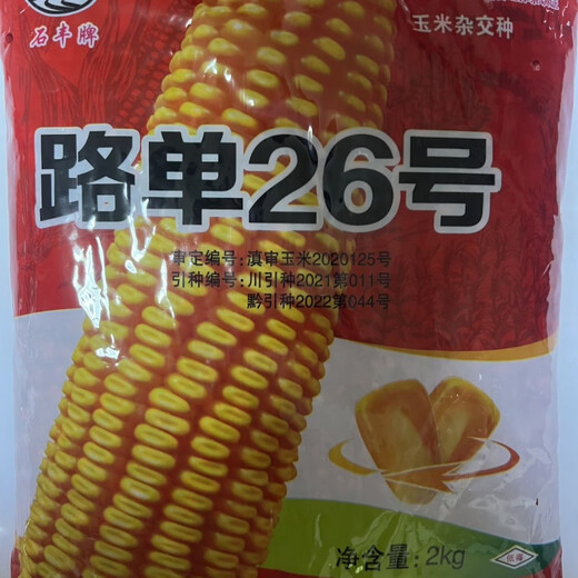 Ludan No. 26 Short Stem - High-yielding corn seeds, field corn hybrid seeds that are resistant to lodging, disease, and rot. Ludan No. 26 short stem - High-yielding corn seeds, field corn seeds that are resistant to lodging, disease, and rot.