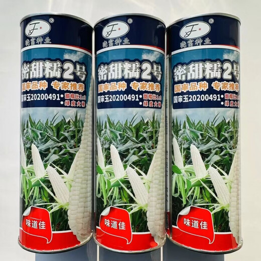 Large area sowing black and white yellow color sweet plus waxy super sweet fruit corn high yield and early maturity wholesale Mitiannuo No. 2 1 Jin Jin is equal to 0.5 kg