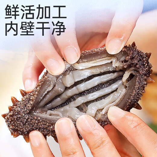 Sea cucumber, ready-to-eat sea cucumber single pack, Dalian fresh sea cucumber single pack, 500g seafood holiday gift box, ready-to-eat sea cucumber 31-50 pieces/Jin Jin equals 0.5 kg