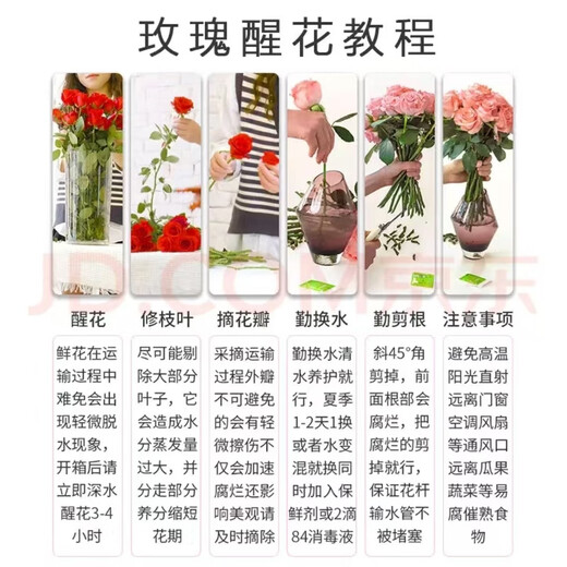 Jingdong Flowers Boutique Water-cultured Soilless Culture New Year's Eve Flowers Valentine's Day Rose Floyd 10 Pack 50CM Straight from the Source