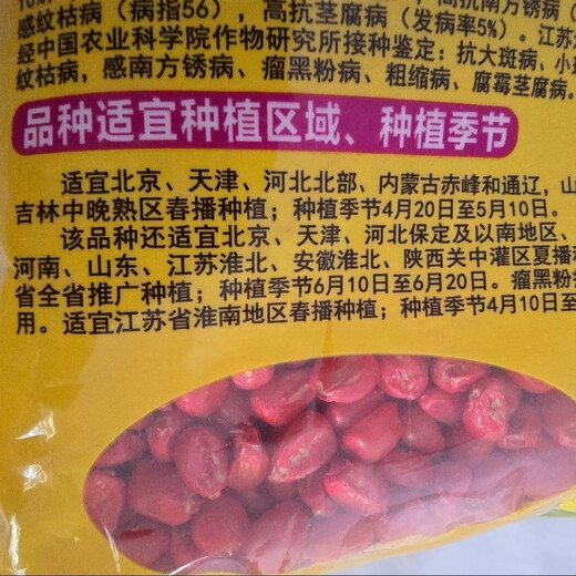 Luodong Yufeng 303 corn seeds are disease-resistant, lodging-resistant, high-yielding, stable and high-temperature resistant corn seeds, original factory packaging 4200 grains 4200 grains original factory packaging