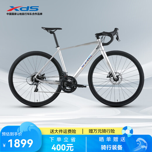 Xds road bike 2025 RC300 disc brake cable routing frame 16-speed silver gray 480MM