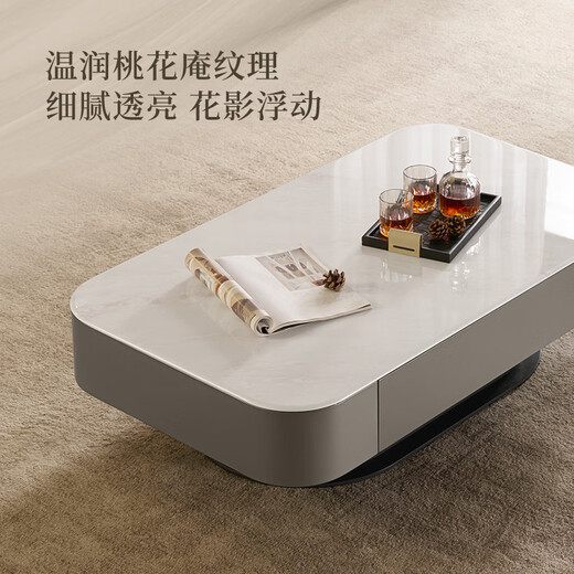 Gujia Home Modern Italian Microcrystalline Stone Coffee Table Living Room Household Coffee Table Light Luxury Coffee Table Large Capacity Drawer DS7178TD Coffee Table 1200*700*335