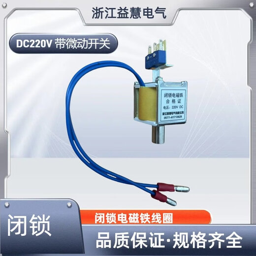 VS1/ZN63 indoor high voltage vacuum circuit breaker locking electromagnet pull-in coil DC DC110V220V without micro-movement DC110V solid