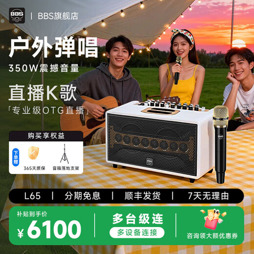 BBSMS5 Wireless Microphone Home KTV Singing Stage Hosting Speech K Song Conference Speaker Audio One for Two Microphones MS5 Golden Black BBS L65 Playing and Singing Audio Gilded White Package