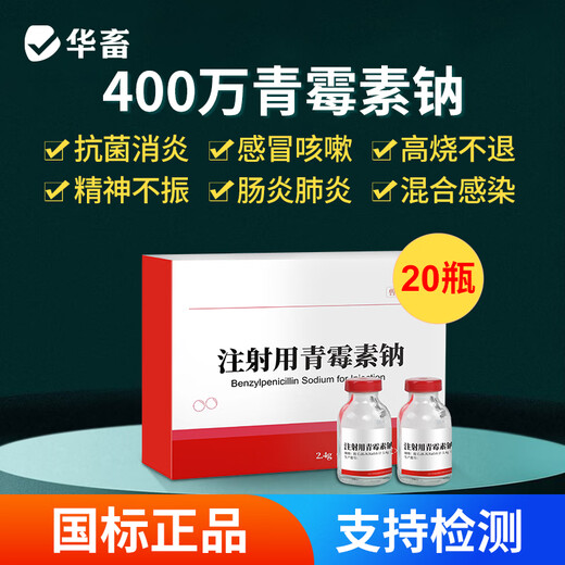 Huazhu Veterinary Medicine Penicillin Sodium Injection Veterinary Medicine Anti-inflammatory Drug Antibiotic for Pigs and Cattle and Sheep 1 Box 4 Million Penicillin Sodium 2.4gX20 Bottles