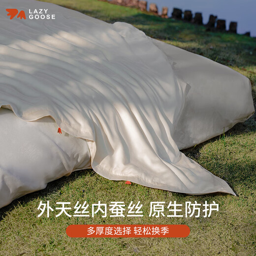 LAZY GOOSE lazy goose baby washable mulberry silk quilt autumn and winter baby air-conditioning quilt quilt core children's tencel silk quilt