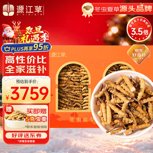 Yuanjiang-Gras, Cordyceps sinensis, Cordyceps sinensis, ausgewählter Cordyceps sinensis, erschwingliches Paket, Nahrungsergänzungsmittel für ältere Menschen, Geschenkbox zur Selbstverwendung, 50 g Cordyceps sinensis, gratis 5 Gramm