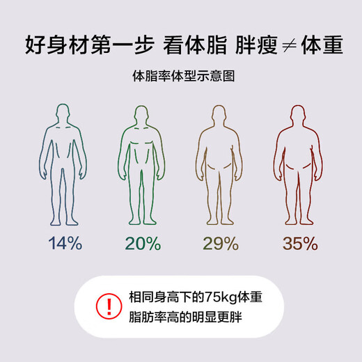 Mijia APP body fat scale weight scale electronic scale home weighing scale dedicated to weight loss intelligent precision charging health scale electronic body fat scale gym grade | four electrodes | all-inclusive base body fat scale (non-Mijia APP)