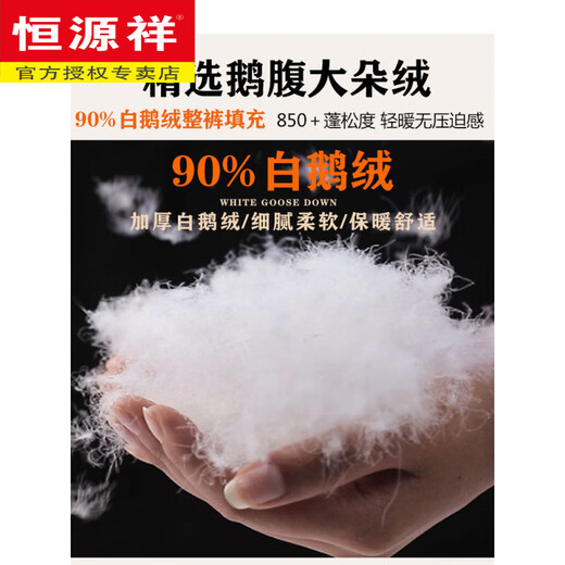 恒源祥零下40度妈妈羽绒裤女外穿冬季可拆卸中老年人高腰加厚宽松鹅绒裤 藏青色女款【有拉链开口】 拆卸内胆 3XL 【160-180斤左右】