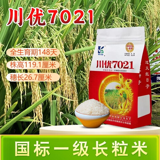 Long-grain fragrant rice Chuanyou 7021 rice seed national standard first-grade fragrant rice has a soft taste but not glutinous and chewy Chuanyou 7021 500g/bag 1 bag