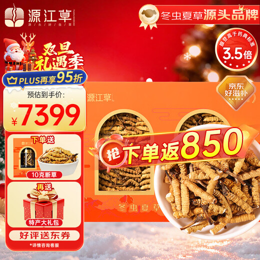 Yuanjiang grass, Cordyceps sinensis, Cordyceps sinensis, Cordyceps sinensis, Cordyceps sinensis, Cordyceps sinensis, Cordyceps sinensis, selected Cordyceps sinensis, affordable package, nutritional supplements for the elderly, self-use gift box, Cordyceps sinensis 100g, free 10g + specialty gift pack