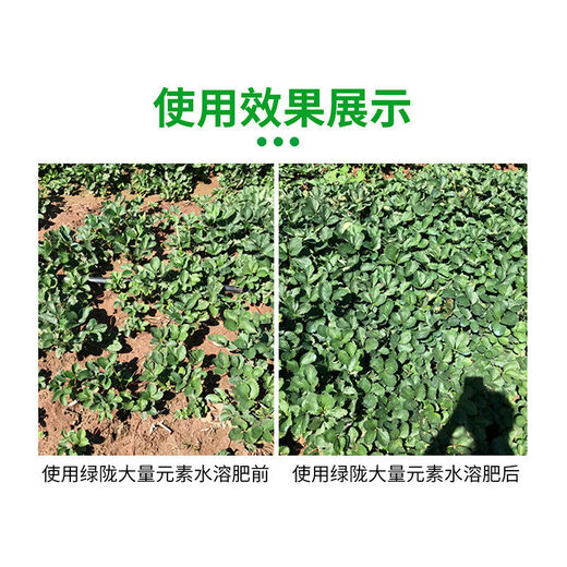 Green Long Nitrogen, Phosphorus and Potassium Balance High Potassium Rooting Water-Soluble Fertilizer Large Element Water-soluble Fertilizer Nutrient Fertilizer 20kg Large Element High Potassium Type 20kg